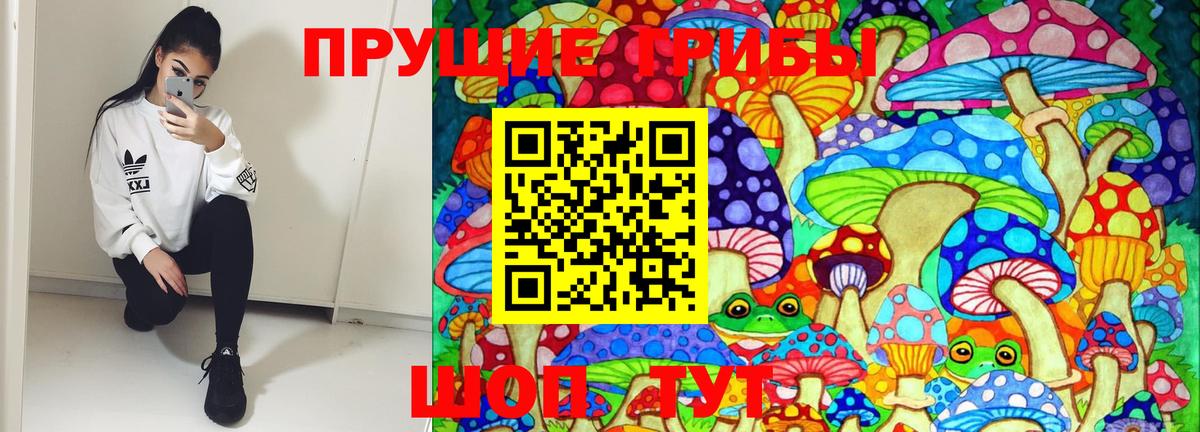 Псилоцибиновые грибы мухоморы Новошахтинск