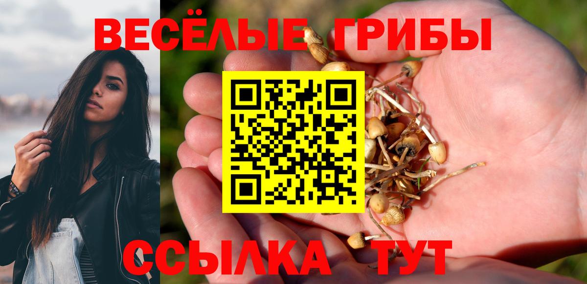 Галлюциногенные грибы Psilocybine cubensis  Галлюциногенные грибы мицелий  Вход с VPN  купить наркотик  Новошахтинск 